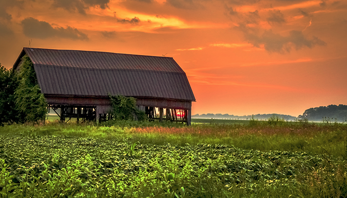 dilapidated barn