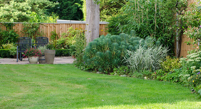 freshly landscaped fenced in yard