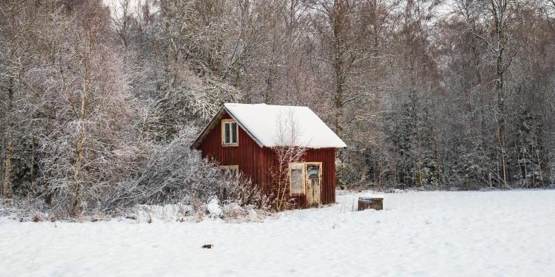 winter shed demolition