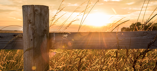 old fence post